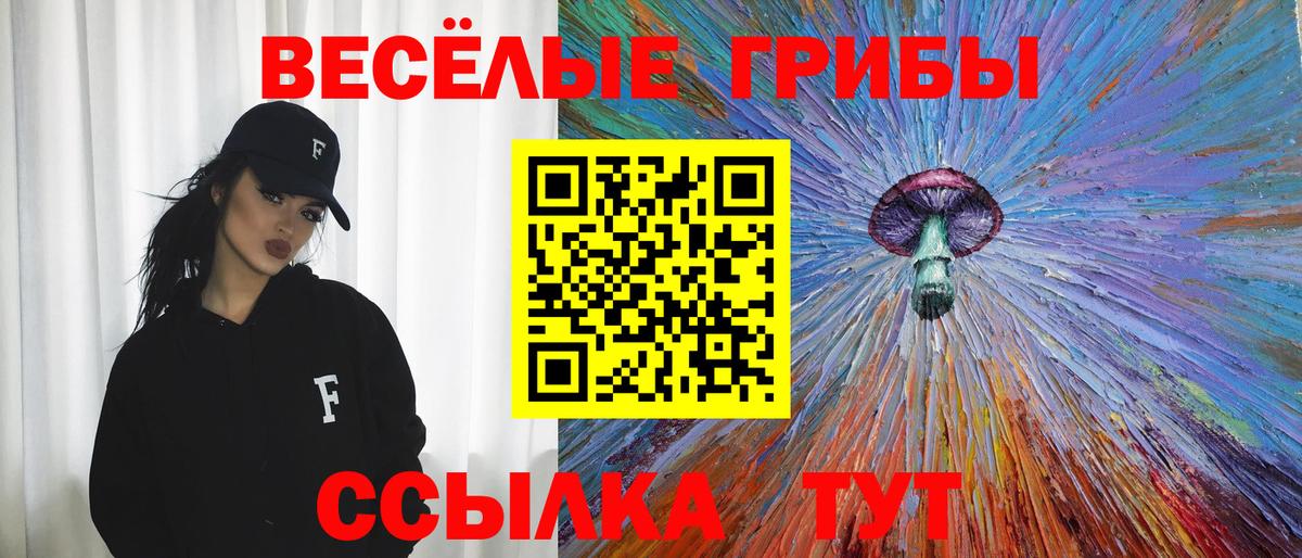 Псилоцибиновые грибы Psilocybe Кохма