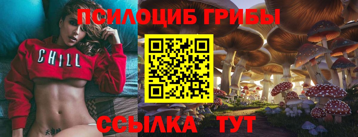 Псилоцибиновые грибы ЛСД  Вход с VPN  Кохма 